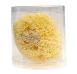 Natural Sea Sponge Company Medium Honeycomb Sea Sponge